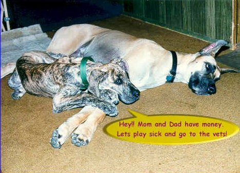 LETS PLAY SICK