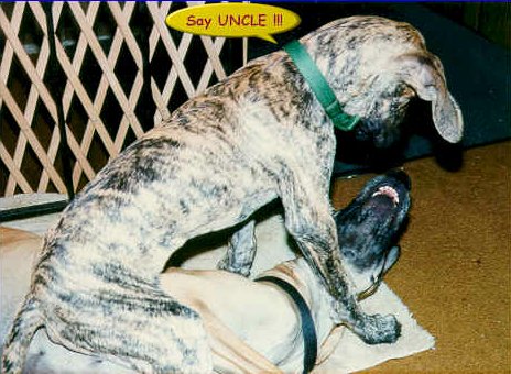 SAY UNCLE