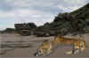 Scrap_01.jpg (20768 bytes)